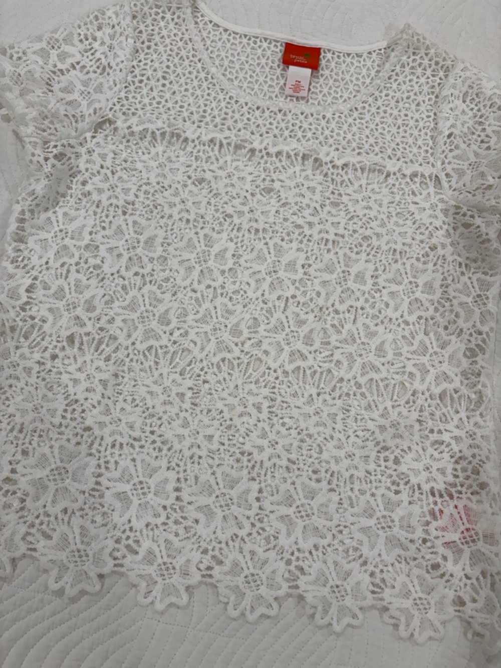 hearts of palm White Crochet Lace Short Sleeve Top - Picture 5 of 11